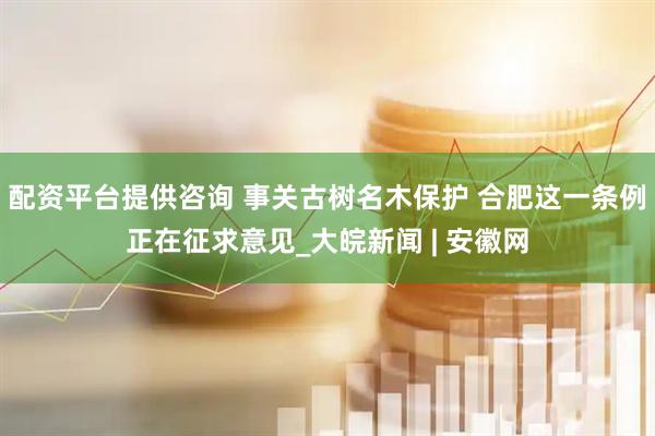配资平台提供咨询 事关古树名木保护 合肥这一条例正在征求意见_大皖新闻 | 安徽网