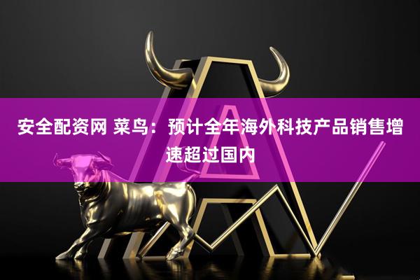 安全配资网 菜鸟：预计全年海外科技产品销售增速超过国内